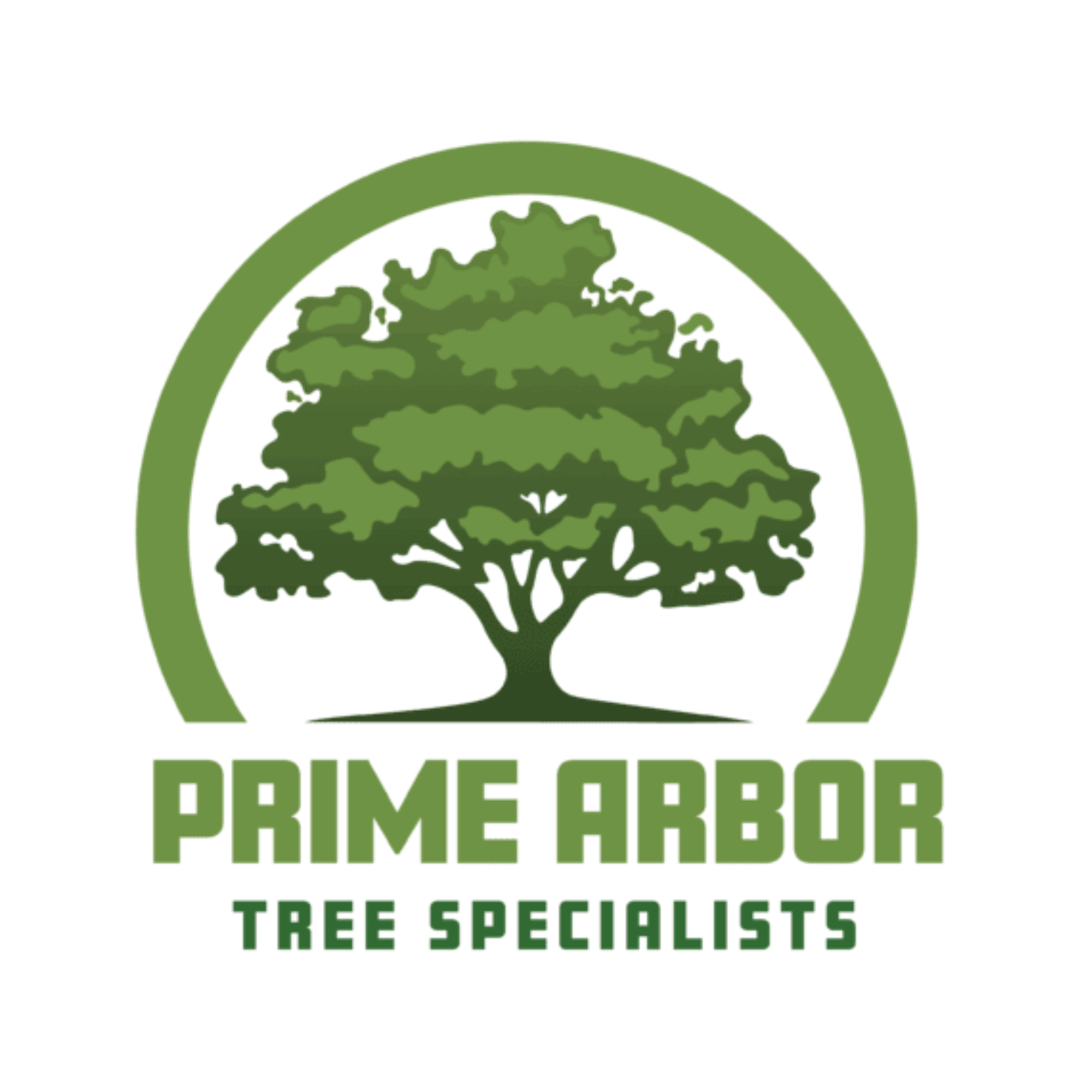 Prime Arbor Tree Specialists